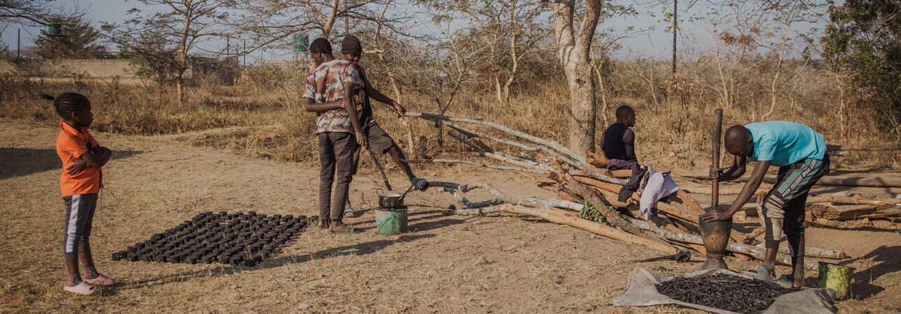 Wie Pflanzenreste Leben verändern: Briketts als nachhaltige Alternative zur Holzkohle