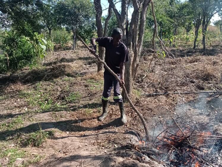 Ein Mann in Stiefeln und Arbeitskleidung schürt mit einem langen Stock ein kleines Feuer aus Ästen und Laub in trockener Natur