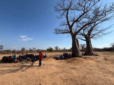 Eine Gruppe von Menschen sitzt im Freien unter großen, kahlen Bäumen auf trockenem Boden unter blauem Himmel